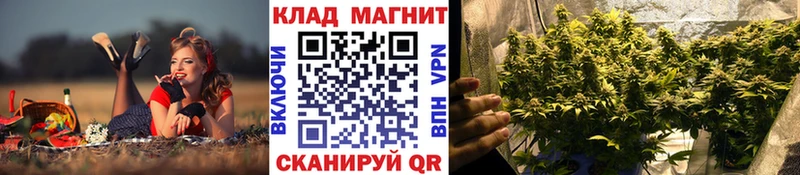 Купить закладку Туринск Каннабис  A-PVP  ГАШИШ  Мефедрон 