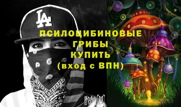 экстази Алексин
