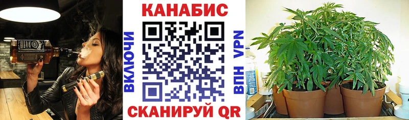 мега зеркало  Туринск  Бошки Шишки план 